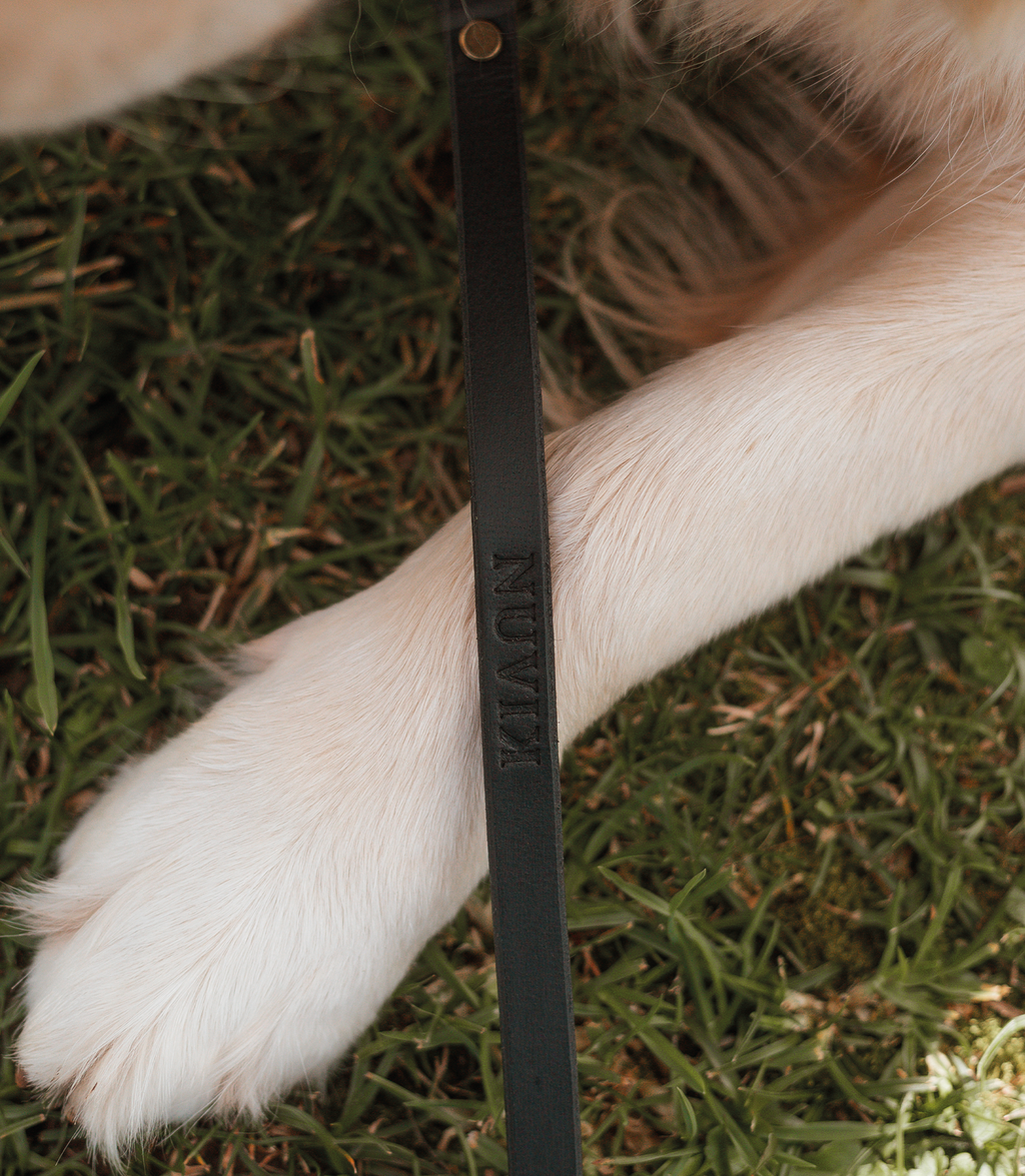Nuvik Hunt Dog Leash