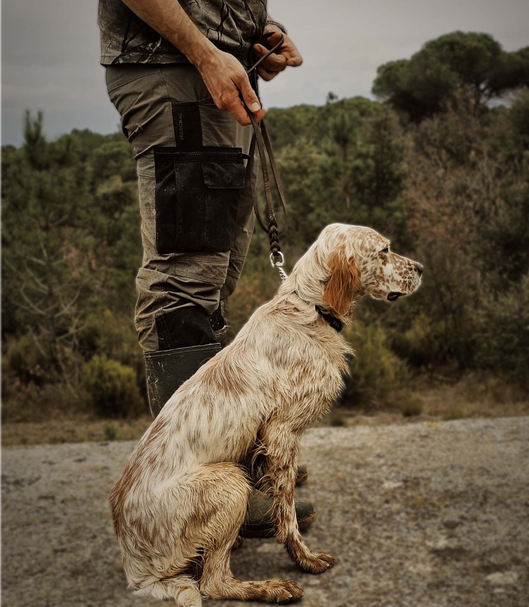 correa para perros de caza de cuero nuvik hunt