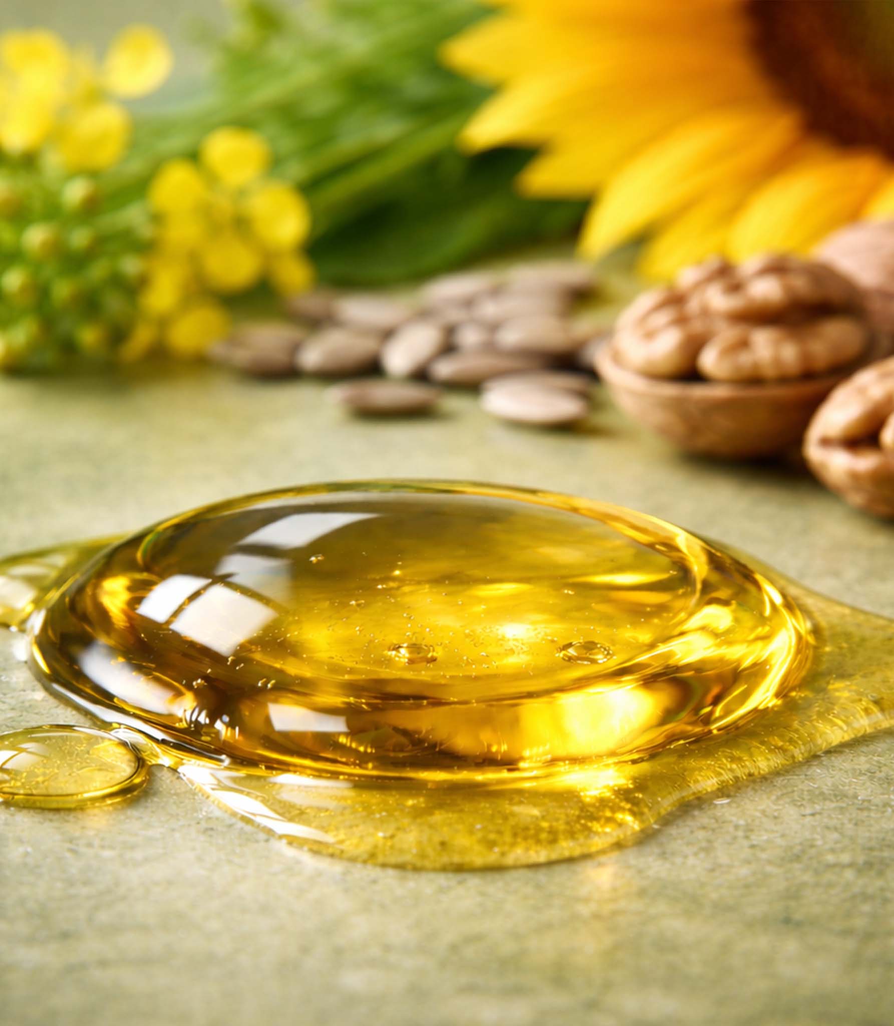 aceite para perros rio en omega 3