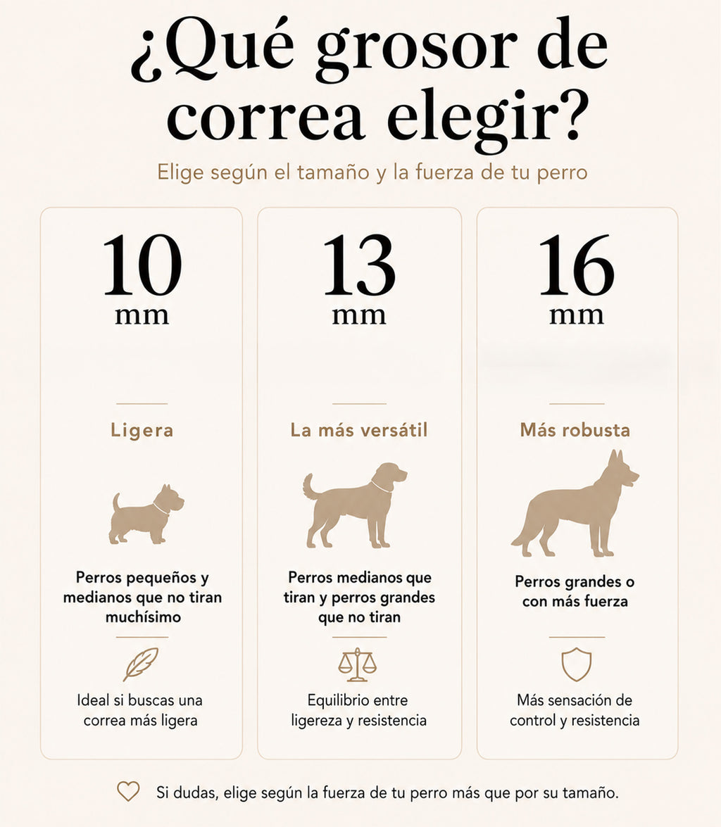 Correa para Perros Nuvik Classic