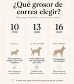 Correa para Perros Nuvik Classic