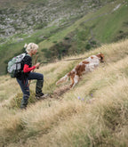 Laisse pour chien Nuvik Dragon