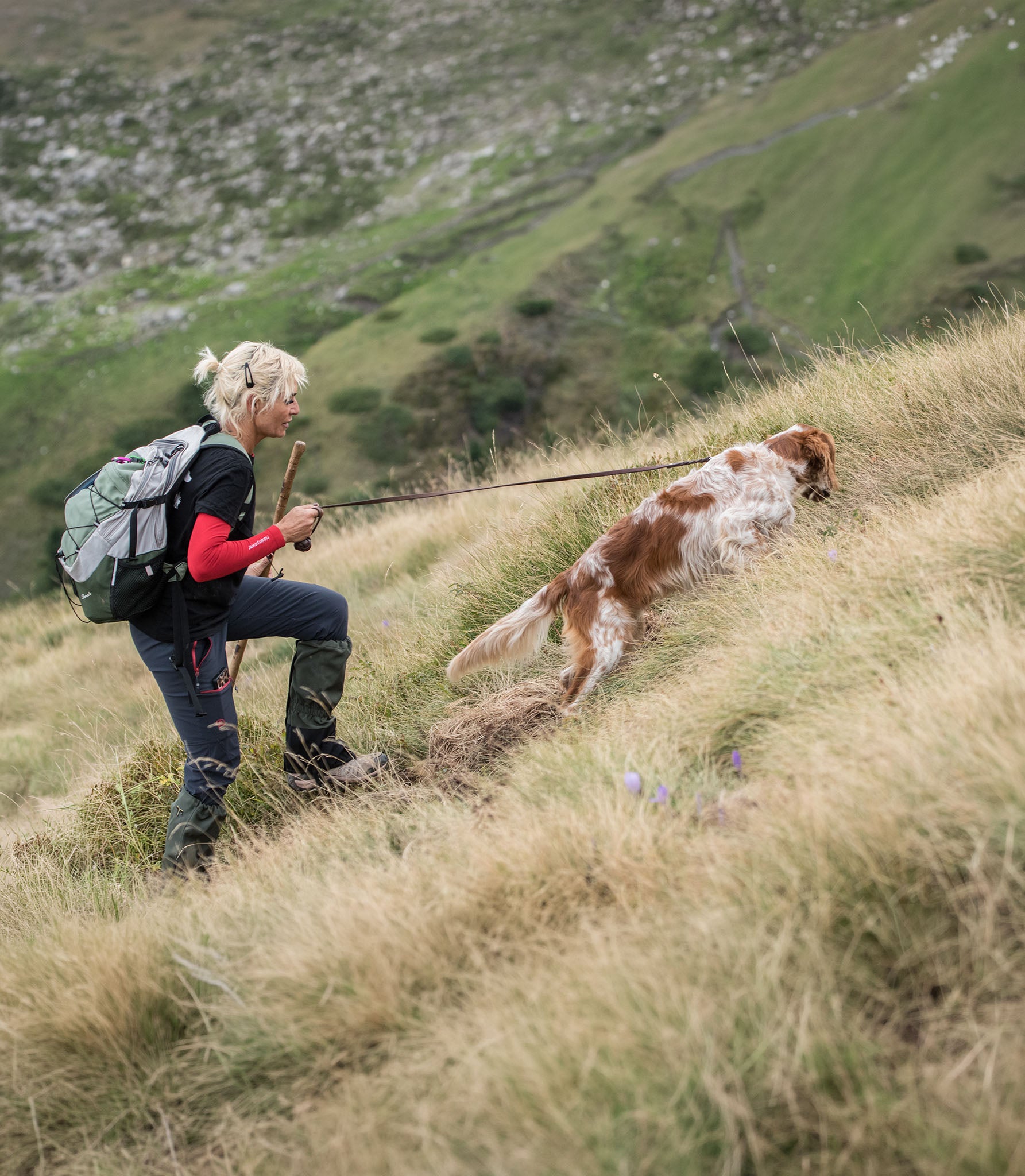 Correa para Perro Nuvik Dragon