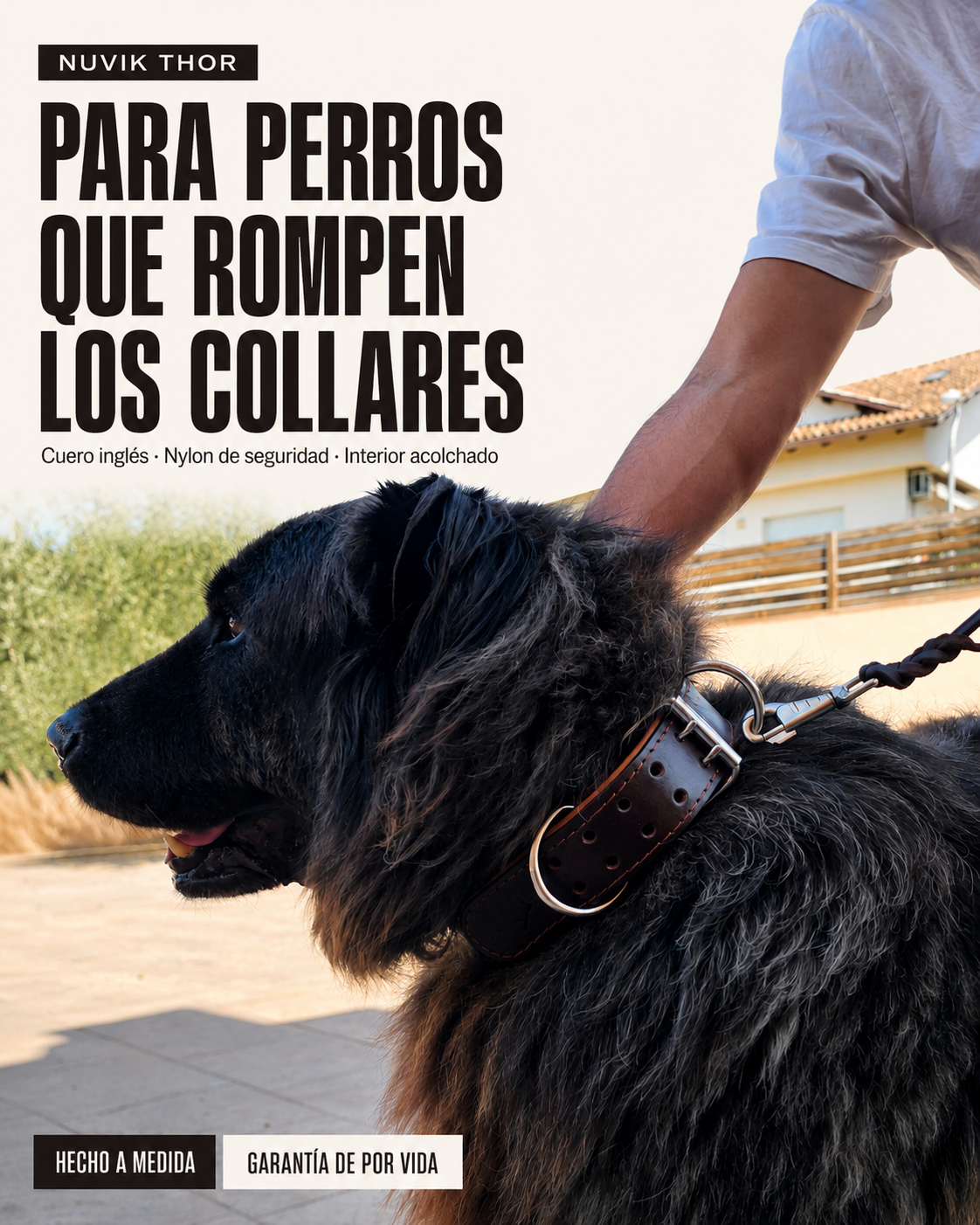 Collar para perros NUVIK THOR – Cuero acolchado y reforzado