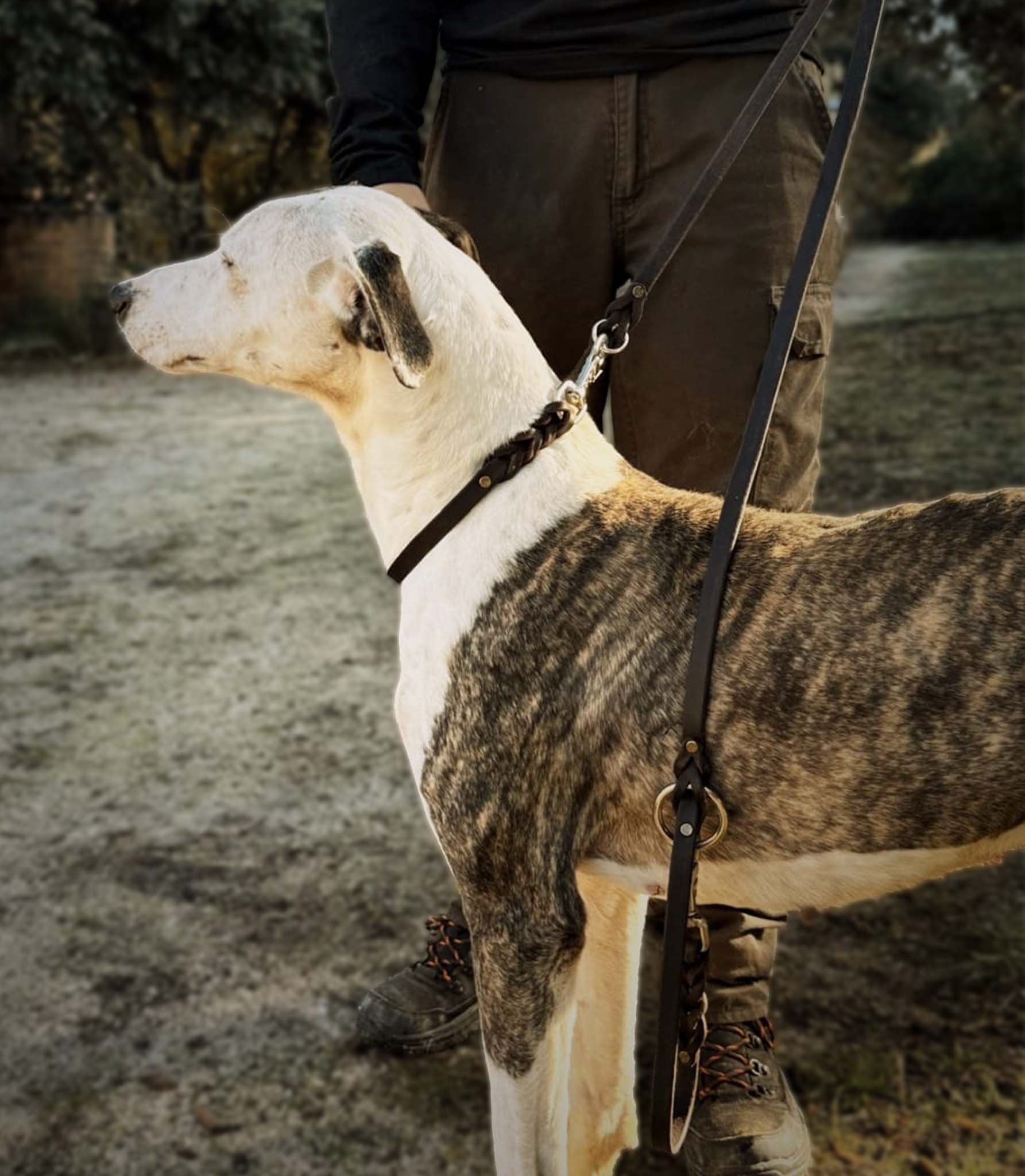 correa para perro multiposicion en cuero nuvik versa